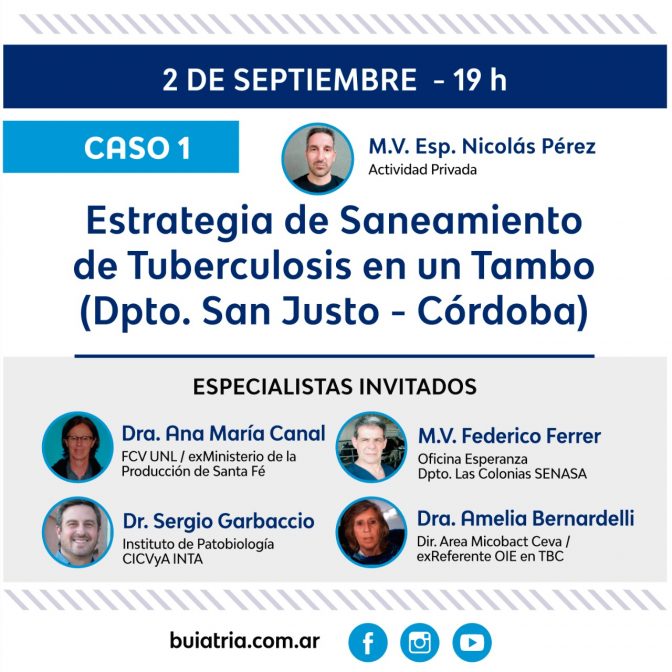 Taller de la Manga al Escritorio 5