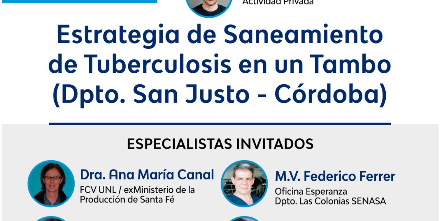 Taller de la Manga al Escritorio 5